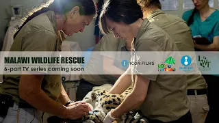 Malawi Wildlife Rescue TV Series