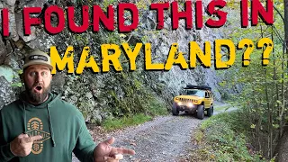 Maryland's Hidden Secret Explored! Green Ridge Forest Overlanding