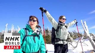 Kita-Yatsugatake Snow & Ice Wonderland - Let's Trek Japan