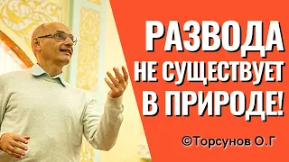 Развода не существует в природе! Торсунов лекции