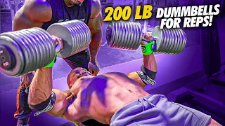 1000 lb Deadlift from IFBB Pro Joe Mackey? + 200 lb Dumbbell Presses: Joe vs Larry