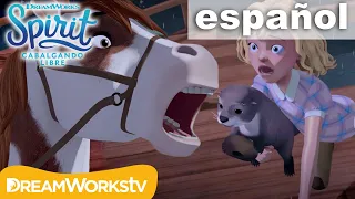 El rescate de Abigail | SPIRIT CABALGANDO LIBRE