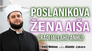 Poslanikova žena Aiša radijallahu anhu⁴ᵏ22 mr. Sead-ef. islamović #hadzimehovadzamija