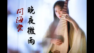 【晚夜微雨問海棠】— 二哈和他的白貓師尊  琵琶獨奏｜PiPa (Chinese Lute) Cover by 樂落清音