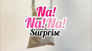 LPS: „Na! Na! Na! Surprise“ - Werbung/advertisement (Deutsch)