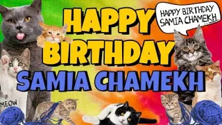Happy Birthday Samia Chamekh! Crazy Cats Say Happy Birthday Samia Chamekh (Very Funny)