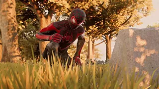 Miles Morales visits his father's grave