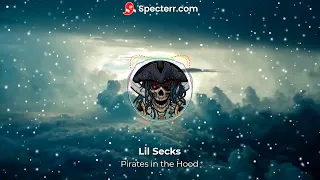 Lil Secks - Pirates in the Hood (Visualizer)