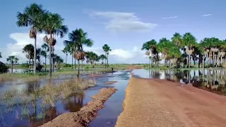 Rupununi , Guyana , Tourism , drone