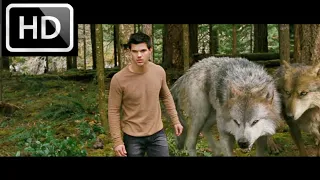 A Saga Crepúsculo: Amanhecer — Parte 2 (3/10) Filme/CLIP - Uma coisa de lobo (2012) HD