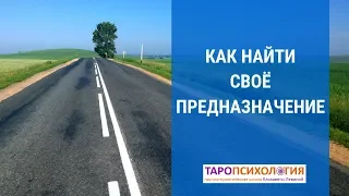 Как найти свое предназначение.  Елизавета Левина