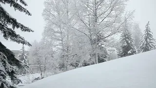 12 Minutes of snow falling in the Italian Alps