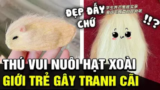 Giới trẻ Trung Quốc mê mẩn với thú vui DÙNG HẠT XOÀI LÀM THÚ CƯNG nhưng lại gây tranh cãi | TÁM TV