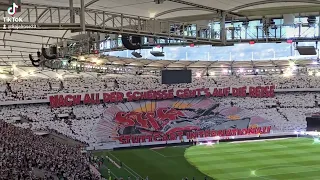 VfB Stuttgart Choreographie  18.05.24: Nach all der Scheisse, gehts auf die Reise ⚪️🔴 🍀