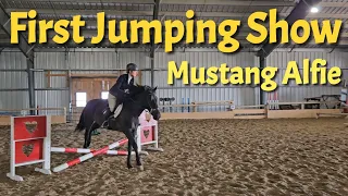 Less than a year out of the holding pens - Alfie the Mustang does his first jumping show