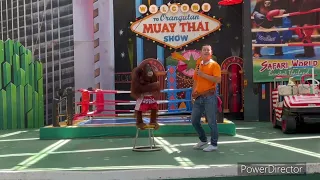 # funny orangutan show bangkok #monkeyshowbangkok #orangutanshow #orangutansafariworld  #suscribe me