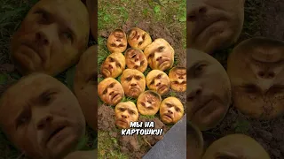 🥔🥔🥔 #накартошку