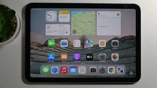 Поменять соотношение сторон в камере iPad Mini 6 2021 / Размер окна в камере iPad Mini 6 2021