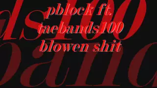 PBLOCK FT TAEBANDS100