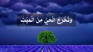 تلاوه خاشعه هادئه ومريحه للقارئ  ياسر ألزيلعي