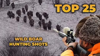 TOP 25 WILD BOAR HUNTING SHOTS