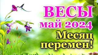 ВЕСЫ - ТАРО ПРОГНОЗ на МАЙ 2024 - ПРОГНОЗ РАСКЛАД ТАРО - ГОРОСКОП ОНЛАЙН ГАДАНИЕ