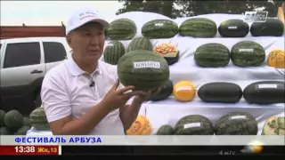 Арбузный фестиваль прошел в Павлодарской области