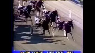 1993 Freehold Raceway - Breeders Crown 3YO C&G Pace (LIFE SIGN )