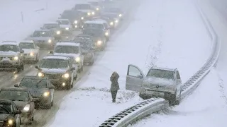 Дураки и дороги 2024 Царь дорог Их трудно понять, Авто моменты #111