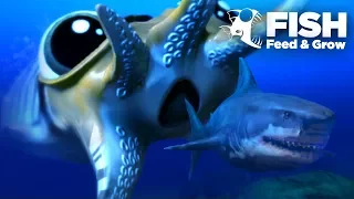 Giant CuttleFish Seeks Revenge! - Fish Feed Grow | 18