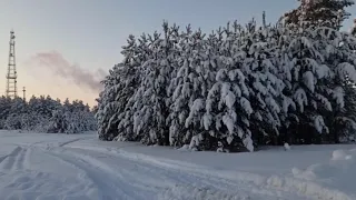 Северная зима. Прогулка с мужем😂🤣 -19° ❄️ день с приключениями