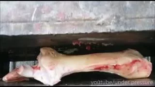 Bone crushed by hydraulic press