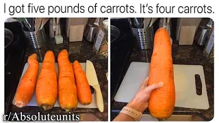 r/AbsoluteUnits | uppercase carrot