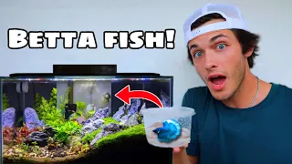 Buying FIRST FISH TANK!!