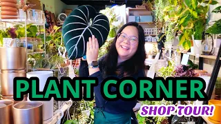 The BEST Rare Aroid Shop in NYC | Plant Corner Shop Tour