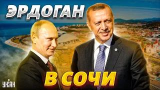 Эрдоган у Путина: успехи, провалы, скандал. Итоги встречи в Сочи