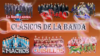 Clasicos de la Banda La Arrolladora,El Recodo, Banda Pequeños, Banda Machos, Banda Maguey