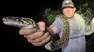 Pythons are taking over Florida! {Catch Clean Cook} ft. Python Cowboy