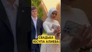 Чеченская свадьба Юсупа Алиева #чеченец #чеченцы #чечня #чечен #чеченская #чеченскиепесни