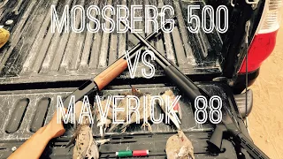 Mossberg 500 Vs Maverick 88; Not What You Think!