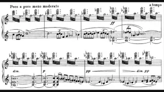 Jean Sibelius - The Swan of Tuonela