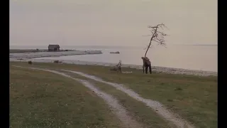 El sacrificio 1986 Andrei Tarkovsky