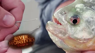 This Piranha Can Bite Through Steel! | PIRANHA | River Monsters
