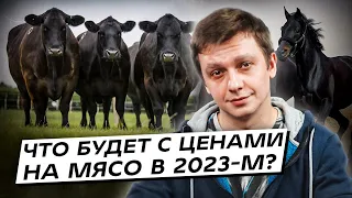 Что будет с ценами на мясо в 2023-м? А есть казахстанское вообще не опасно? Интервью 2 часть