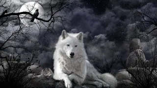 "Белая волчица". На стихи Наталии Пугачевой.