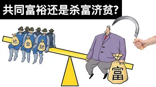 共同富裕还是杀富济贫?(字幕)/Common Prosperity or Killing the Rich and Helping the Poor/王剑每日观察/20210821