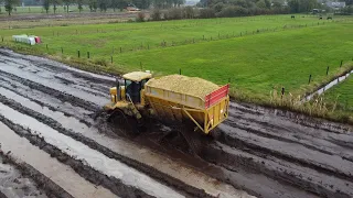 Mud & Tracks! Chopping corn