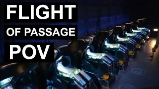 Flight of Passage POV Full Ride and Entrance Queue - Disney World