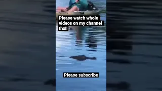 Alligator follows us while fishing in kayak