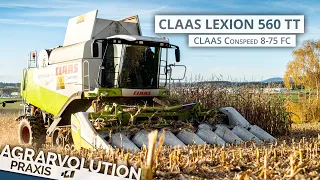 Claas Lexion 560 TT • harvesting maize | Agrarvolution Praxis